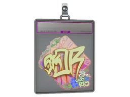 Sticker Slab | sk0R (Holo) | Rio 2022