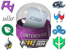 Shanghai 2024 Contenders Sticker Capsule