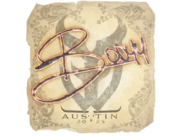 Sticker | bodyy | Austin 2025