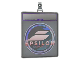 Sticker Slab | Epsilon eSports (Holo) | Cologne 2014