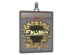 Sticker Slab | FalleN (Gold) | Budapest 2025