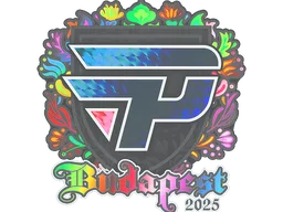 Sticker | paiN Gaming (Holo) | Budapest 2025
