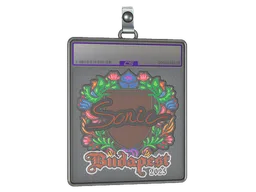 Sticker Slab | Sonic (Embroidered) | Budapest 2025