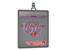 Sticker Slab | TeSeS (Holo) | Antwerp 2022