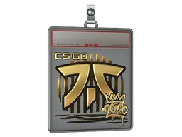 Sticker Slab | Fnatic (Gold) | 2020 RMR