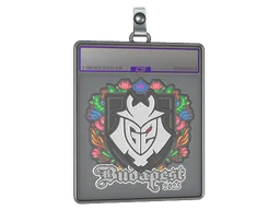 Sticker Slab | G2 esports (Embroidered) | Budapest 2025