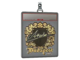 Sticker Slab | Attacker (Gold) | Budapest 2025
