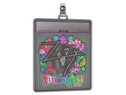 Sticker Slab | zevy (Holo) | Budapest 2025