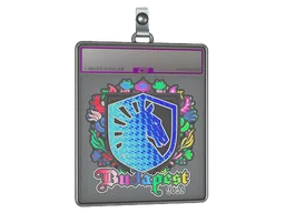 Sticker Slab | Team Liquid (Holo) | Budapest 2025