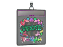 Sticker Slab | vexite (Holo) | Budapest 2025