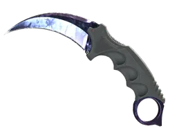 ★ Karambit | Doppler — Black Pearl