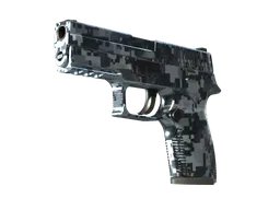 P250 | Steel Disruption