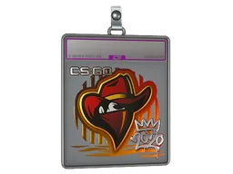 Sticker Slab | Renegades (Foil) | 2020 RMR