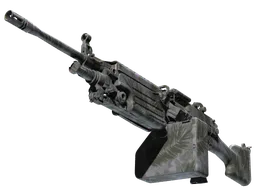 M249 | Midnight Palm