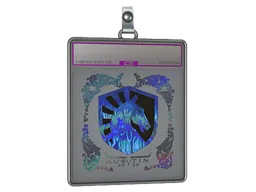Sticker Slab | Team Liquid (Holo) | Austin 2025