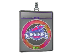 Sticker Slab | Winstrike Team (Holo) | Katowice 2019