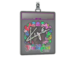 Sticker Slab | kye (Holo) | Budapest 2025