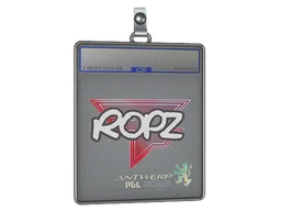 Sticker Slab | ropz | Antwerp 2022