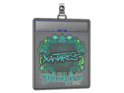 Sticker Slab | XANTARES | Budapest 2025
