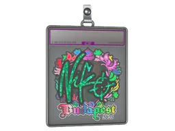 Sticker Slab | NiKo (Holo) | Budapest 2025