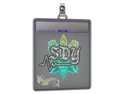 Sticker Slab | sdy (Glitter) | Paris 2023
