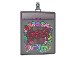 Sticker Slab | broky (Holo) | Budapest 2025