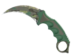 ★ Karambit | Boreal Forest