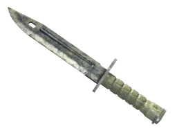 ★ Bayonet | Stained