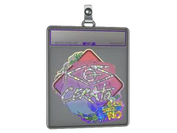 Sticker Slab | KSCERATO (Glitter) | Rio 2022
