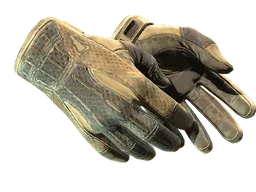★ Sport Gloves | Arid