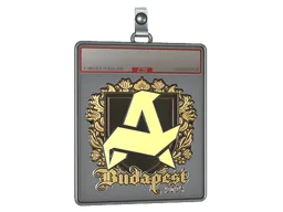 Sticker Slab | Aurora (Gold) | Budapest 2025