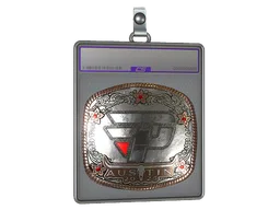 Sticker Slab | paiN Gaming (Foil) | Austin 2025