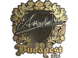 Sticker | Attacker (Gold) | Budapest 2025