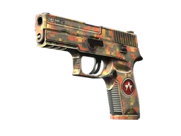 P250 | Red Rock