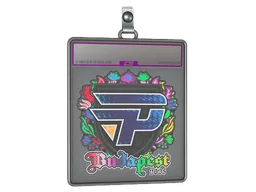 Sticker Slab | paiN Gaming (Holo) | Budapest 2025