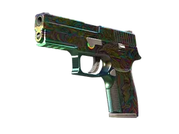 P250 | Visions