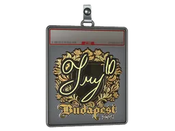 Sticker Slab | TRY (Gold) | Budapest 2025