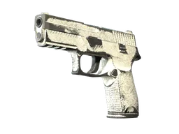 P250 | Whiteout
