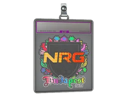 Sticker Slab | NRG (Holo) | Budapest 2025
