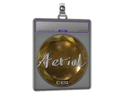 Sticker Slab | Aerial (Foil) | Katowice 2019
